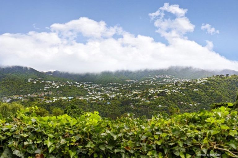 Photo of property in 45 Cecil Road, Wadestown, Wellington, 6012