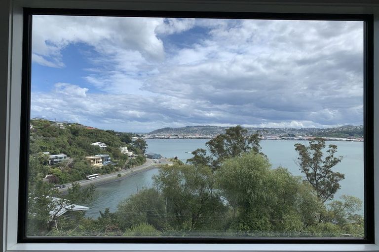 Photo of property in 1a Glengyle Street, Vauxhall, Dunedin, 9013