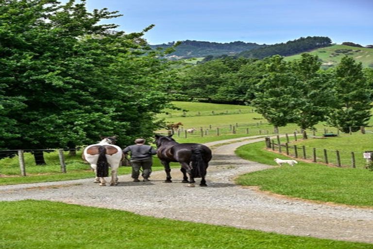 Photo of property in 65b Ngakoroa Road, Ormond, Gisborne, 4071