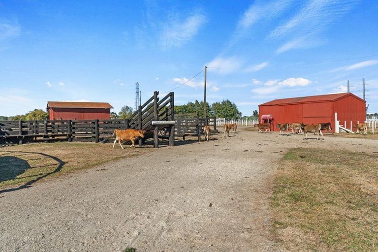 Photo of property in 86 Saint Kilda Road, Cambridge, 3493