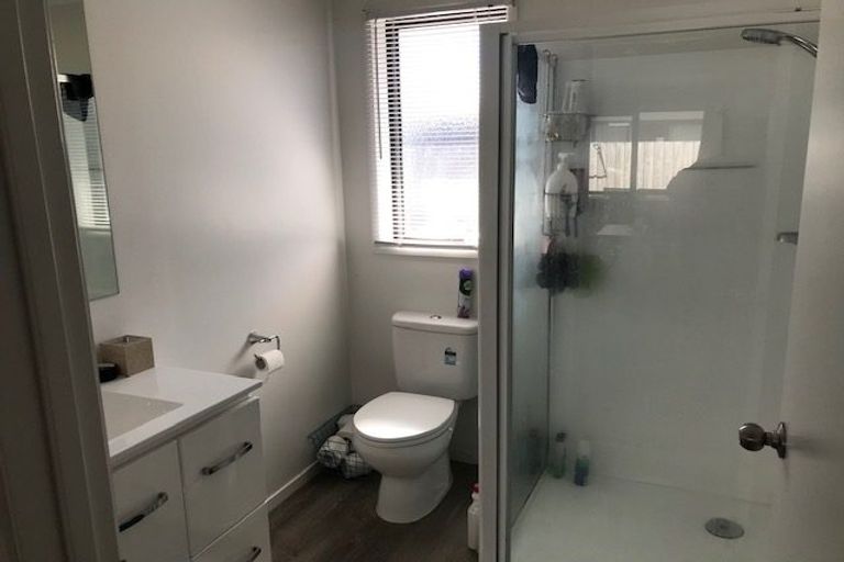 Photo of property in 193u1 Massey Street, Frankton, Hamilton, 3204