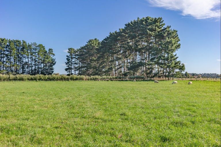 Photo of property in 25 Boulton Road, Levin, 5510