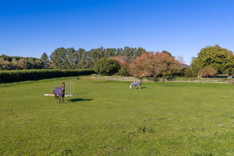 Photo of property in 310 Mystery Creek Road, Ohaupo, 3881