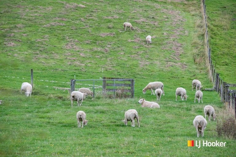 Photo of property in 16 Woodside Road, Woodside, Outram, 9073