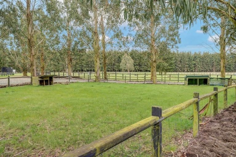 Photo of property in 286b Isaac Road, Eyrewell, Rangiora, 7476