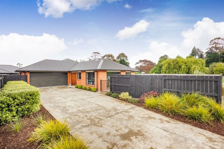 Photo of property in 137 Wyndham Street, Ashhurst, 4810