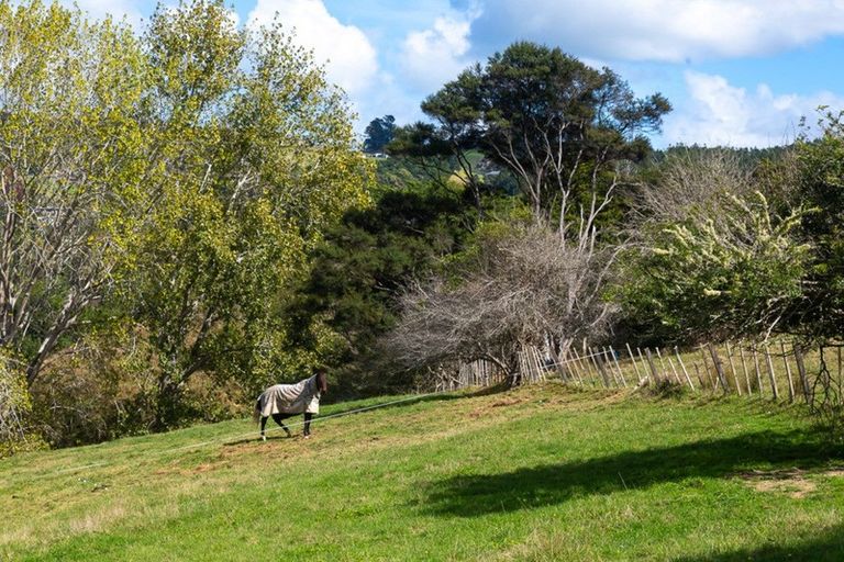 Photo of property in 49 Opoto Place, Kaukapakapa, 0873