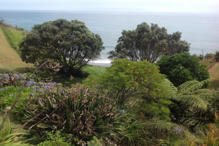 Photo of property in 25 Motukari Place, Onaero, Waitara, 4383