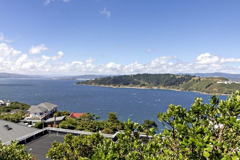 Photo of property in 149 Te Anau Road, Hataitai, Wellington, 6021