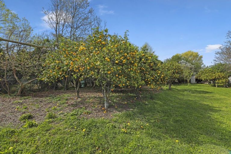 Photo of property in 12 Hammerichs Road, Rapaura, Blenheim, 7272