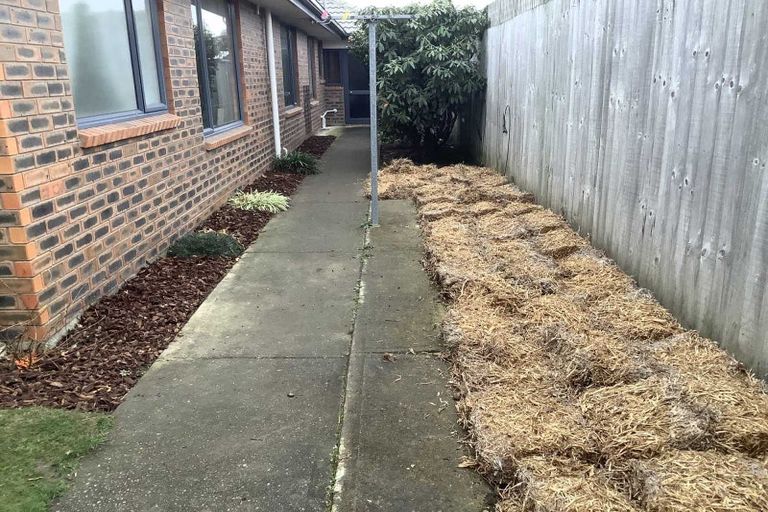 Photo of property in 25 Monaghan Street, Northwood, Christchurch, 8051