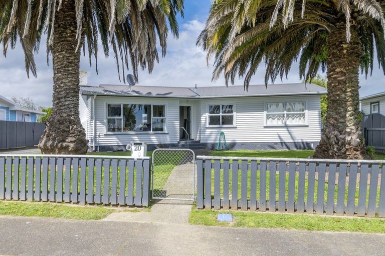 Photo of property in 20 Cargill Street, Levin, 5510