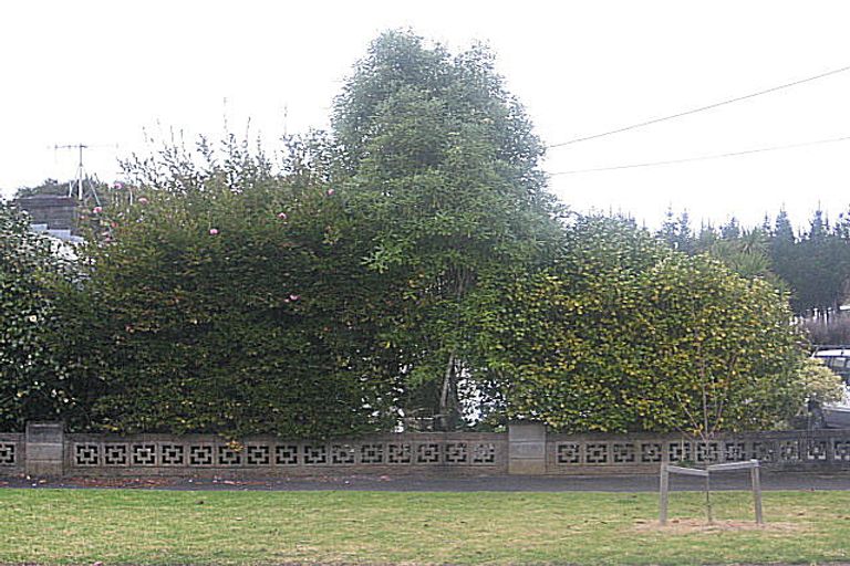 Photo of property in 38 Donny Avenue, Chartwell, Hamilton, 3210