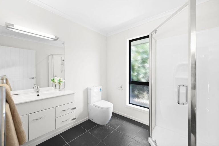 Photo of property in 99 Saint James Drive, Huntington, Hamilton, 3210