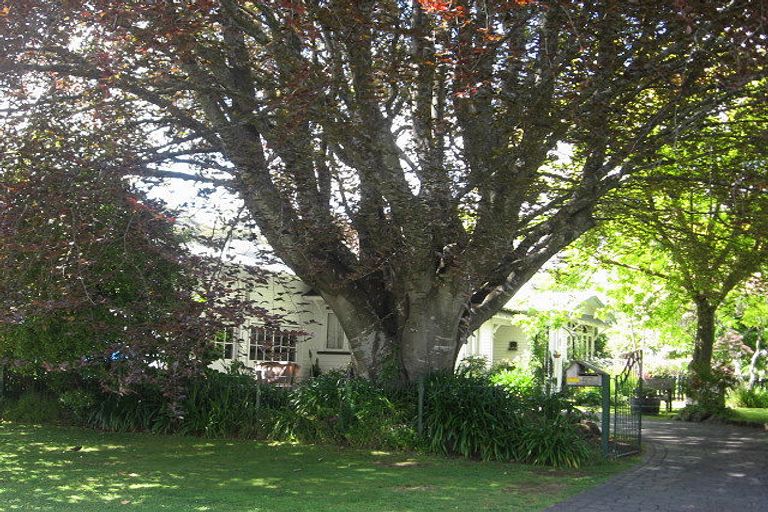 Photo of property in 57 Princes Street, Cambridge, 3434