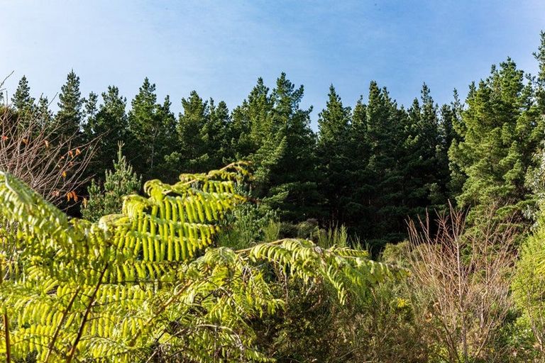 Photo of property in 56a Trelawney Road, Wainuiomata, Lower Hutt, 5014