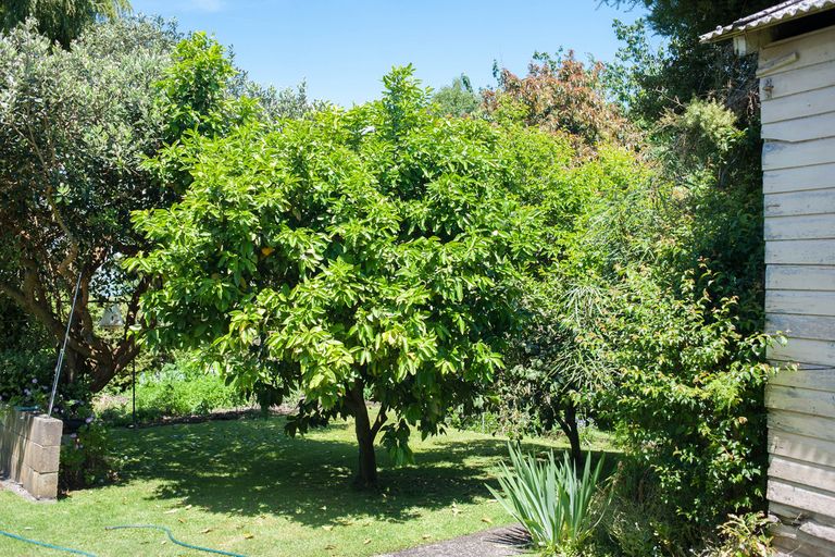 Photo of property in 11 Glen View Avenue, Otorohanga, 3900