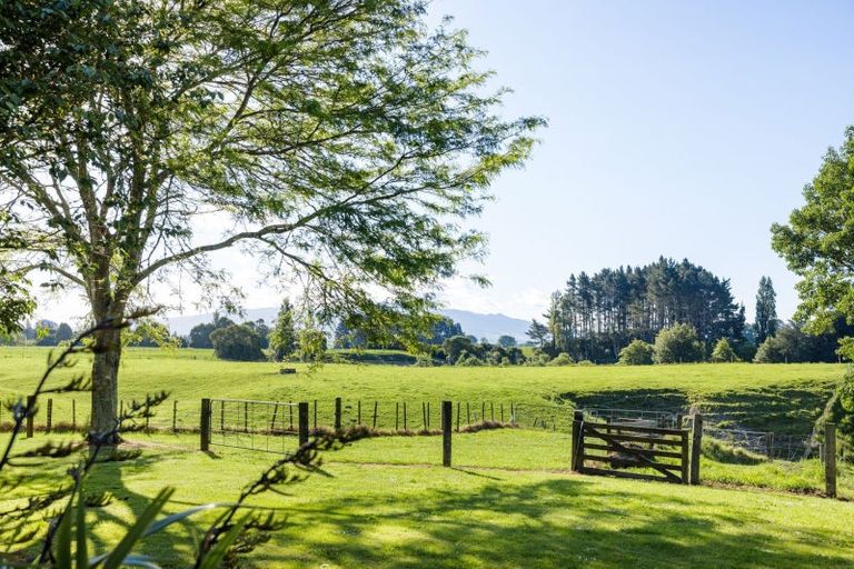Photo of property in 248 Pokuru Road, Pokuru, Te Awamutu, 3875