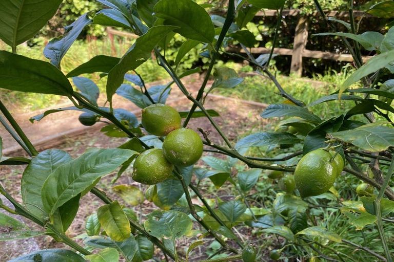 Photo of property in 140 Cecil Road, Wadestown, Wellington, 6012