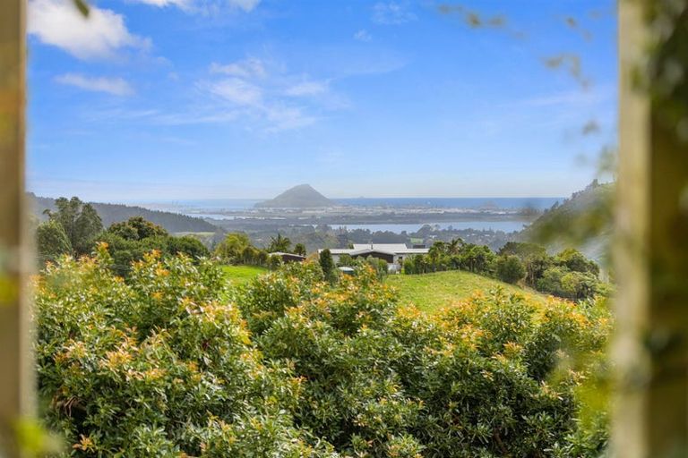 Photo of property in 80b Kaiate Falls Road, Waitao, Tauranga, 3175