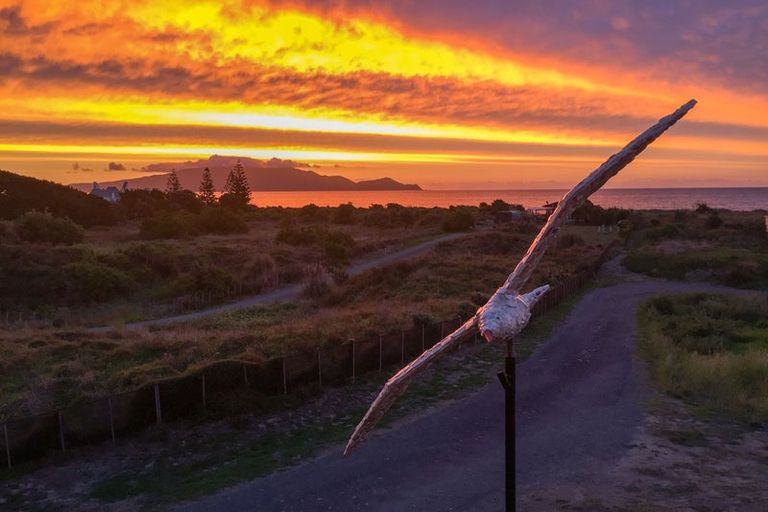 Photo of property in 8 Beachview Grove, Peka Peka, Waikanae, 5391