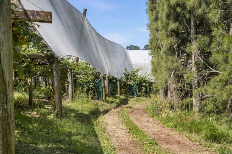 Photo of property in 231 Walford Road, Aongatete, Katikati, 3181