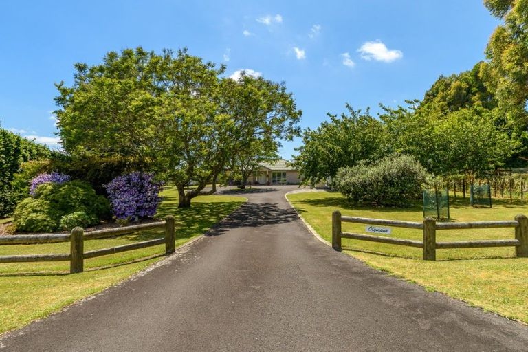 Photo of property in 41 Walter Henry Drive, Omanawa, Tauranga, 3171