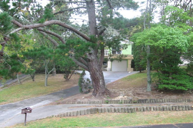 Photo of property in 19 Finn Place, Totara Vale, Auckland, 0629
