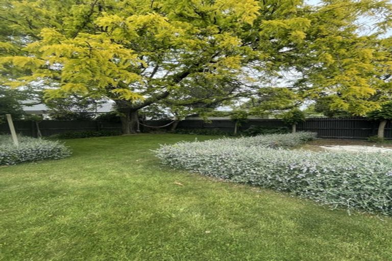 Photo of property in 6 Bellvue Avenue, Papanui, Christchurch, 8053