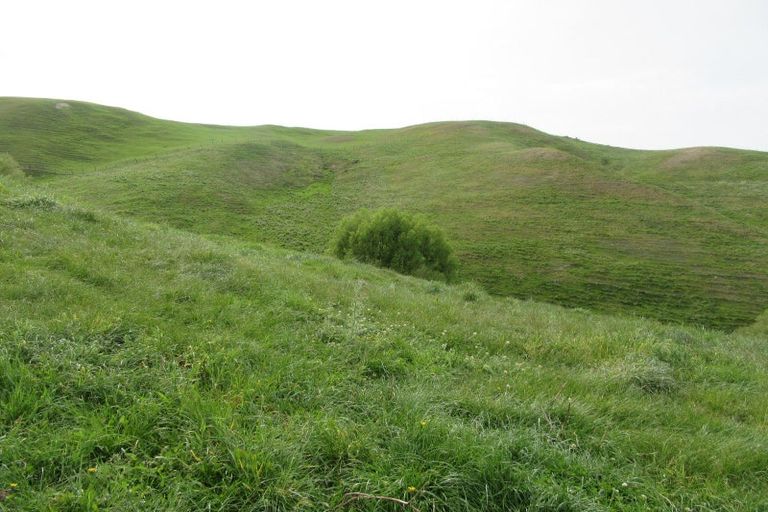 Photo of property in 263 Pourerere Road, Waipawa, 4271