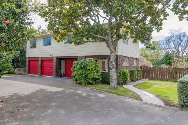 Photo of property in 4a Millvale Street, Waikanae, 5036