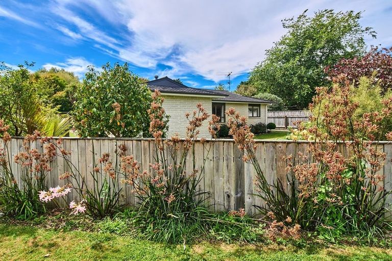 Photo of property in 31a Puriri Road, Waikanae, 5036