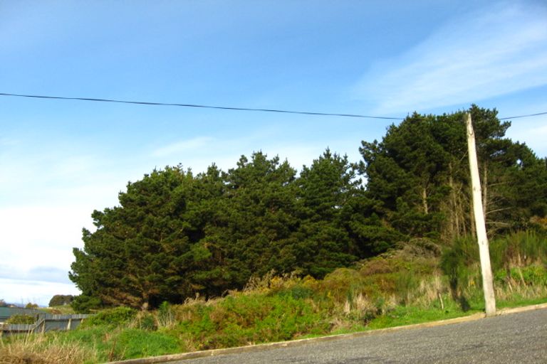 Photo of property in 82 Walker Street, Bluff, 9814
