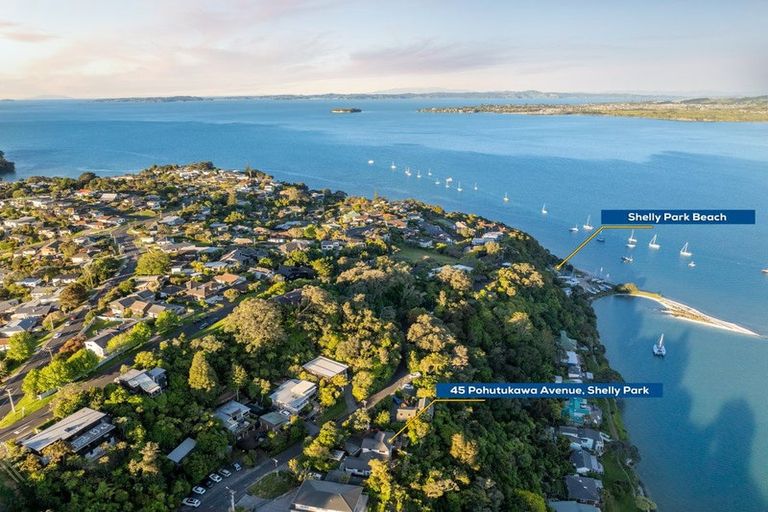 Photo of property in 45 Pohutukawa Avenue, Shelly Park, Auckland, 2014