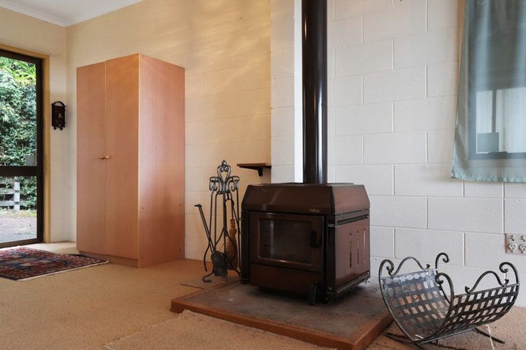 Photo of property in 887 Scenic Drive, Swanson, Henderson, 0781