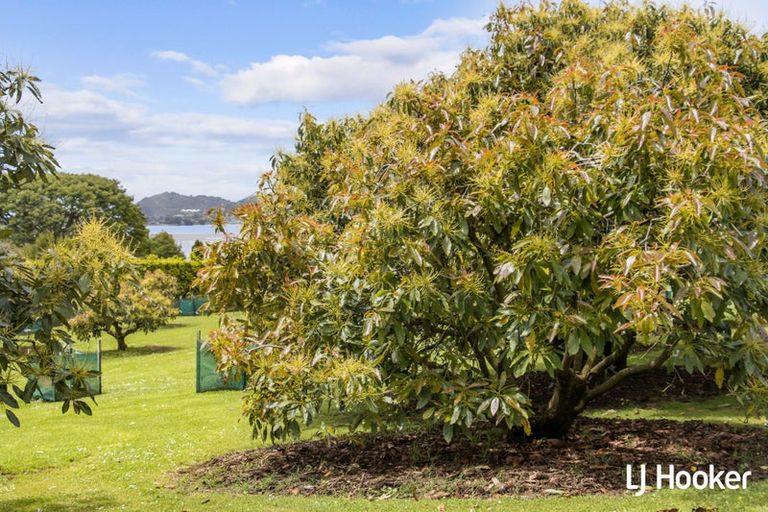 Photo of property in 117 Athenree Road, Athenree, Katikati, 3177