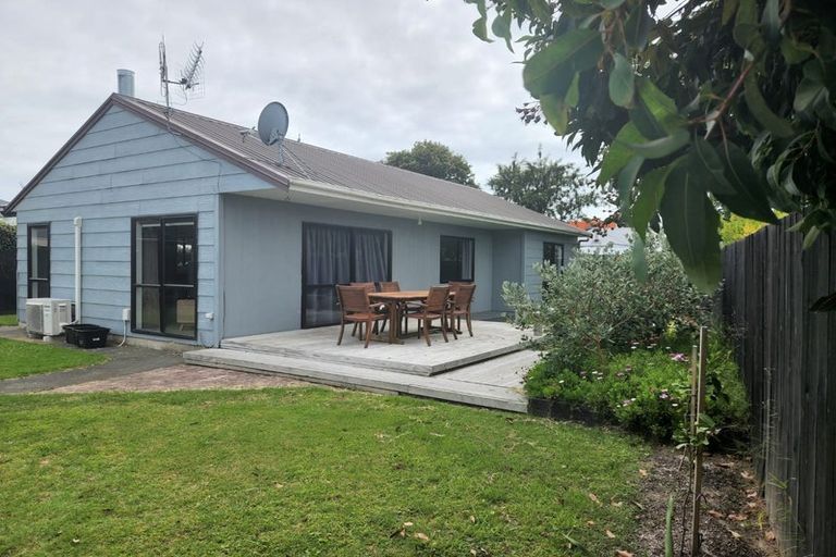 Photo of property in 117a Wellesley Road, Napier South, Napier, 4110