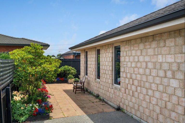 Photo of property in 6a Carr Street, Blenheim, 7201