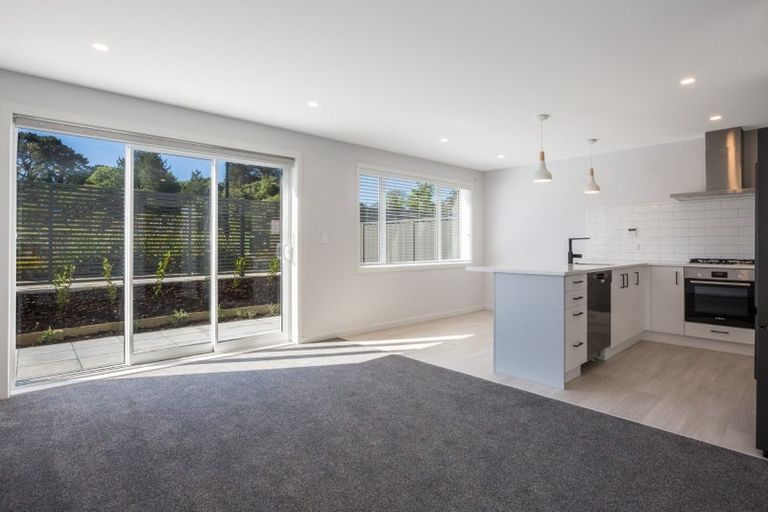 Photo of property in 8 Parekareka Lane, Kenepuru, Porirua, 5022