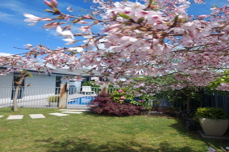 Photo of property in 63 Glenpark Crescent, Bethlehem, Tauranga, 3110