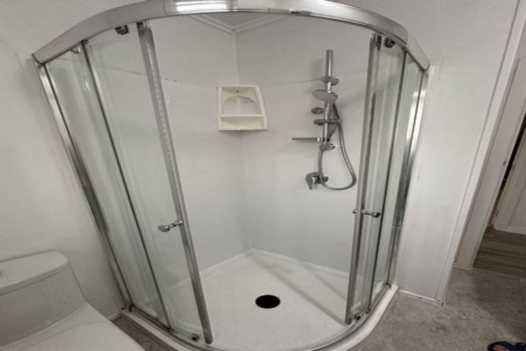 Photo of property in 65 Astley Avenue, New Lynn, Auckland, 0600