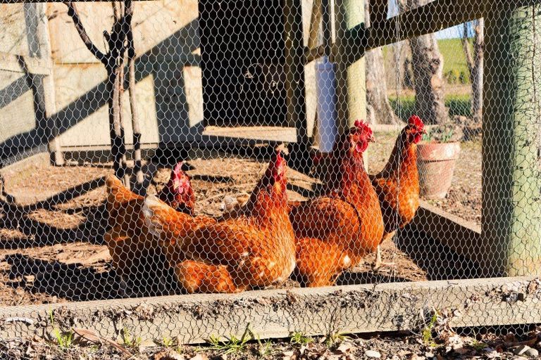 Photo of property in 22 Reeves Street, Cheviot, 7310