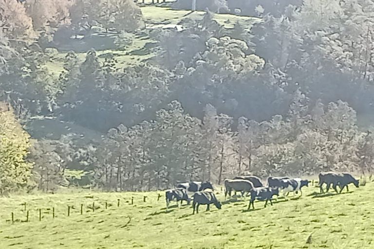 Photo of property in 1812 Kaipara Coast Highway, Kaukapakapa, 0984