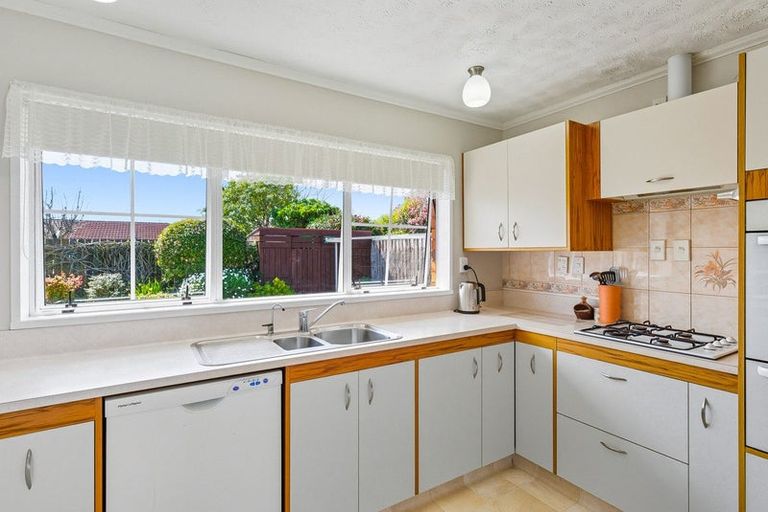 Photo of property in 22 Andrew Street, Waikanae, 5036
