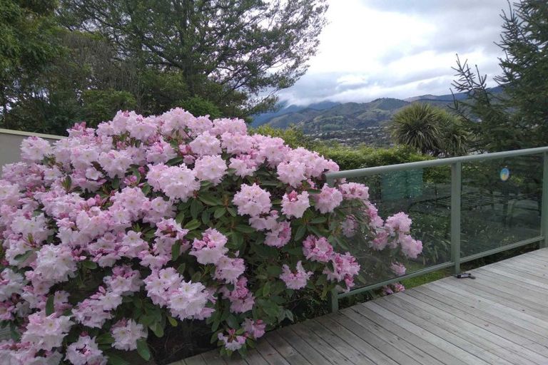 Photo of property in 179 Princes Drive, Britannia Heights, Nelson, 7010