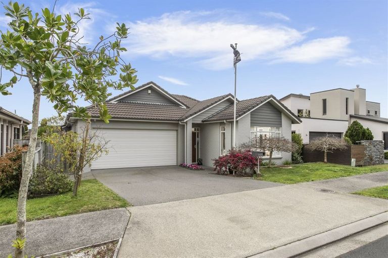 Photo of property in 55 Coachman Drive, Flat Bush, Auckland, 2016