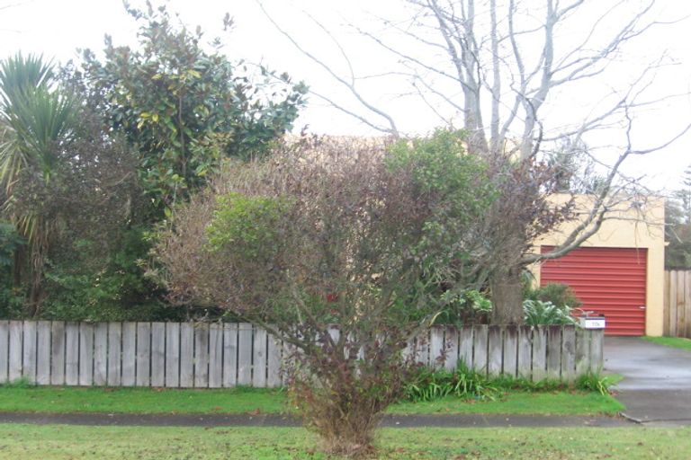 Photo of property in 17a Alexander Street, Papakura, 2110