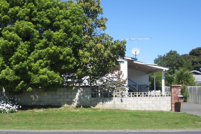Photo of property in 113a Sheehan Street, Whataupoko, Gisborne, 4010