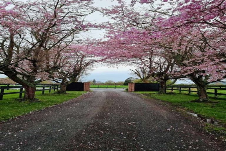 Photo of property in 161 Hautapu Road, Pukemoremore, Cambridge, 3493