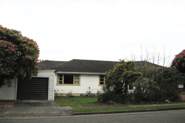 Photo of property in 23 Gardener Street, Levin, 5510